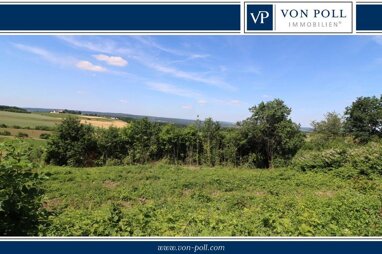 Grundstück zum Kauf 520.000 € 980 m² Grundstück Rettern Eggolsheim 91330