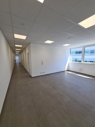 Büro-/Praxisfläche zur Miete provisionsfrei 6 Zimmer 170 m² Bürofläche Lindenstr. 65 Dorenkamp - Nord Rheine 48431