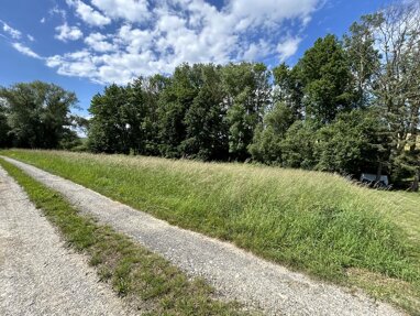 Land-/Forstwirtschaft zum Kauf 5.000 € 1.018 m² Grundstück Neuses am Sand Prichsenstadt 97357