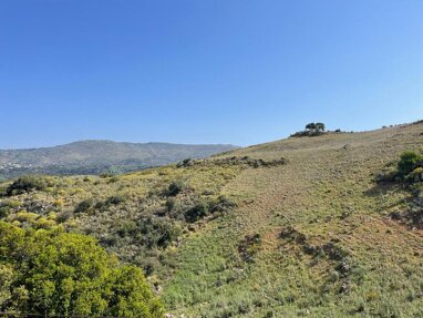 Land-/Forstwirtschaft zum Kauf 1.070.000 € 35.000 m² Grundstück Kreta