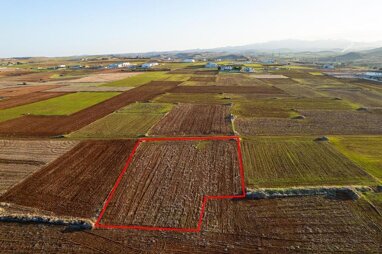 Land-/Forstwirtschaft zum Kauf 100.000 € 2.238 m² Grundstück Nicosia