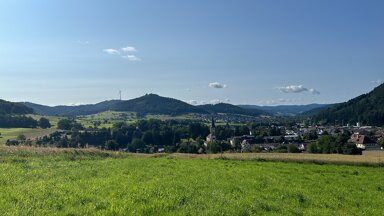 Einfamilienhaus zum Kauf 6 Zimmer 205 m² 1.050 m² Grundstück Reichenbach Lahr/Schwarzwald 77933