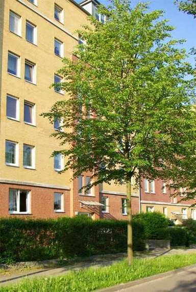 Wohnung zum Kauf provisionsfrei 120.000 € 4 Zimmer 100,9 m² frei ab sofort Emilienstraße Schloßchemnitz 020 Chemnitz 09113