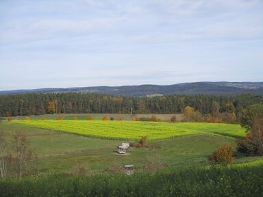 Landwirtschaftliche Fläche zum Kauf 213.619 € 30.517 m² Grundstück Neunburg Neunburg vorm Wald 92431