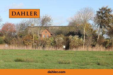 Bauernhaus zum Kauf 445.000 € 7 Zimmer 202 m² 2.600 m² Grundstück Hattstedtermarsch 25856