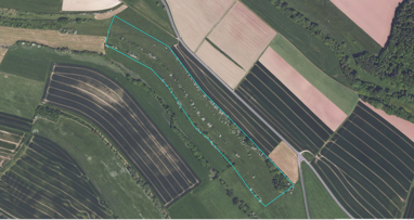 Landwirtschaftliche Fläche zum Kauf 79.000 € 69.879 m² Gransdorf 54533