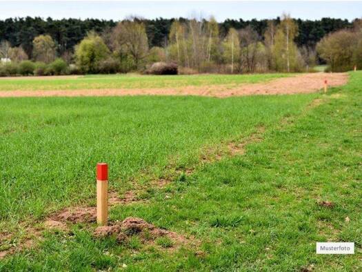 Grundstück zum Kauf provisionsfrei 23.400 € 430 m² Grundstück Werdau 08412
