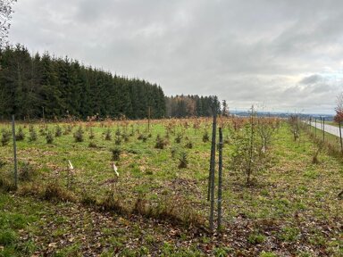 Land-/Forstwirtschaft zum Kauf 98.000 € 6.533 m² Grundstück Schnaitsee Schnaitsee / Waldhausen 83530