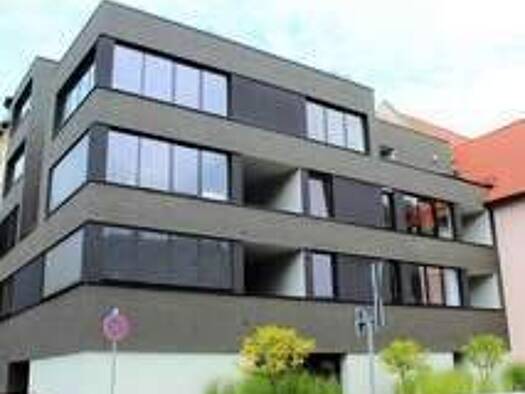 Wohnung zur Miete 1.300 € 3 Zimmer 110 m² 1. Geschoss frei ab 01.01.2026 Talstraße 9 Kröllwitz Halle (Saale) 06120