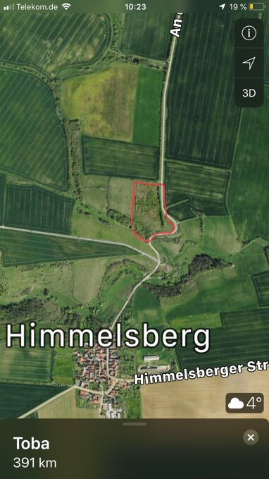 Forstwirtschaft zum Kauf Provisionsfrei 55.000 € 43.089 m² 43.089 m² Grundstück Lori–Ludwig–Strasse Himmelsberg Sondershausen 99706
