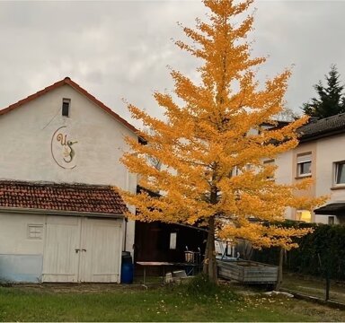 Mehrfamilienhaus zum Kauf 730.000 € 8 Zimmer 240 m² 782 m² Grundstück Sprendlingen Dreieich 63303