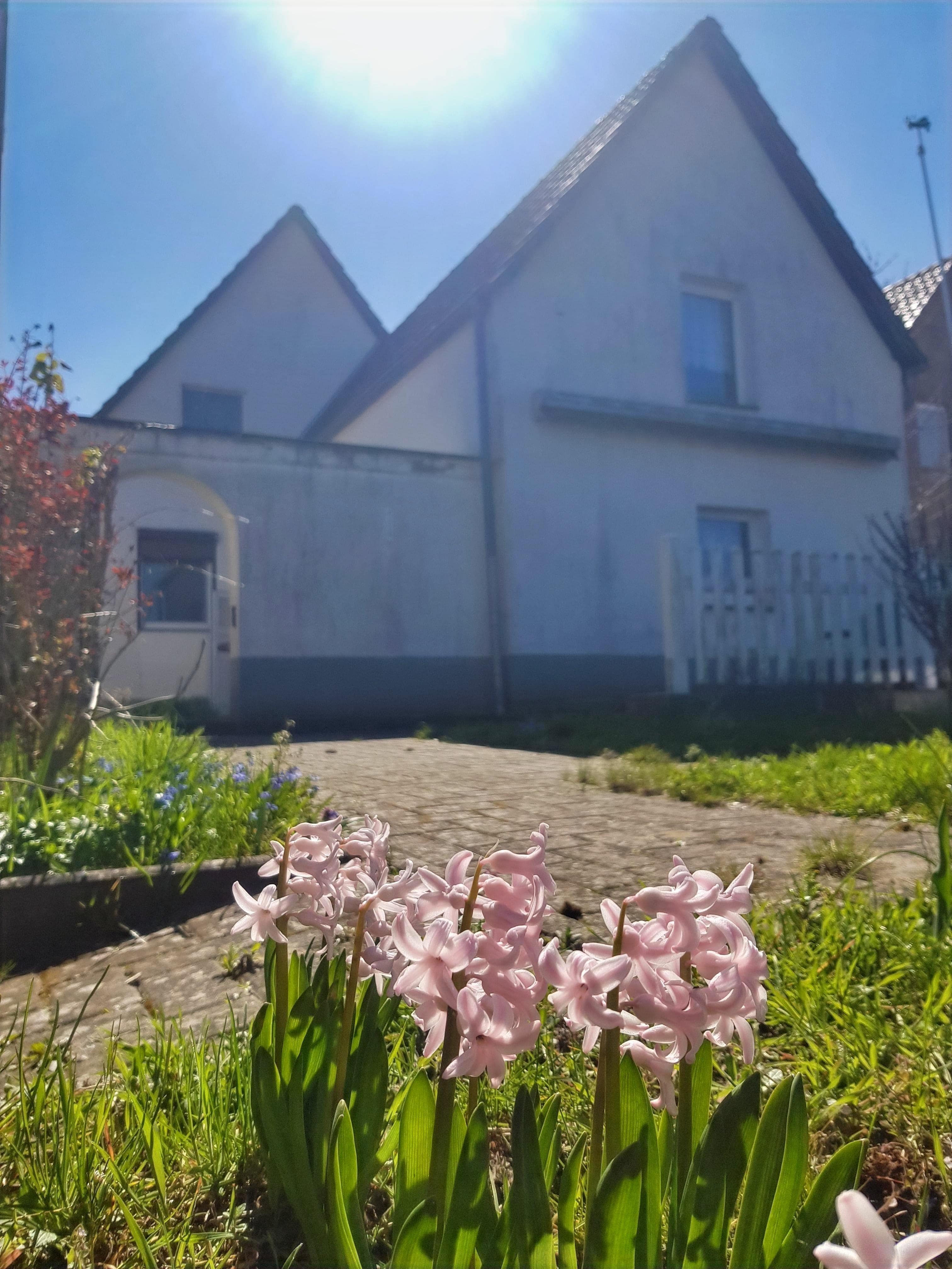 Immobilie in Osterburg (Altmark) - Kleine Familien aufgepasst! - Bild 4