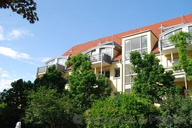 Wohnung zur Miete 430 € 2 Zimmer 50,1 m² EG frei ab 01.02.2025 Tolkewitz (Wehlener Str.) Dresden 01279