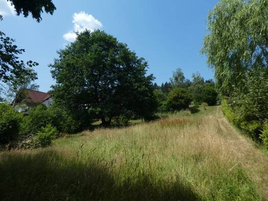 Grundstück zum Kauf 135.000 € 1.354 m² Grundstück Mernes Bad Soden-Salmünster 63628