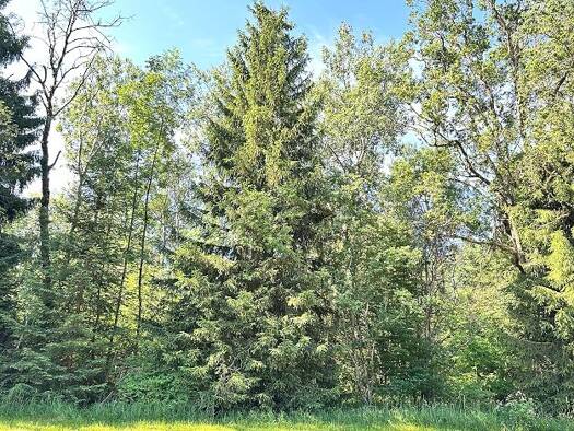 Land-/Forstwirtschaft zum Kauf 74.370 € 8.110 m² Grundstück Waschbrunn Bad Aibling 83043