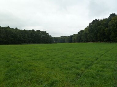 Forstwirtschaft zum Kauf 100 m² 920.000 m² Grundstück Wismar Uckerland 17337