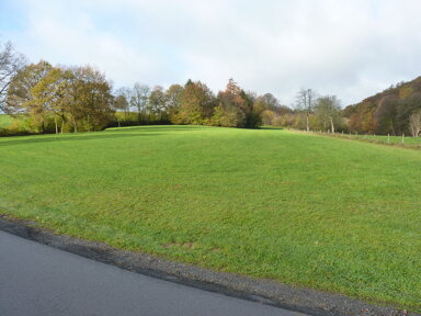 Landwirtschaftliche Fläche zum Kauf 9.000 € 2.549 m² 2.549 m² Grundstück Hecke Waldbröl 51545