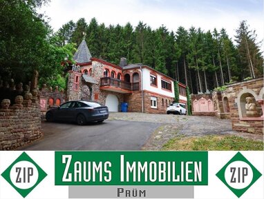 Villa zum Kauf 448.000 € 8 Zimmer 295 m² 11.111 m² Grundstück Irrhausen 54689