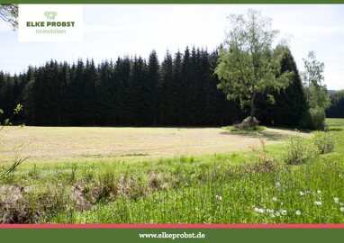 Forstwirtschaft zum Kauf Provisionsfrei 77.168 € 29.680 m² Grundstück Am Graben 30 Schönsee Schönsee 92539
