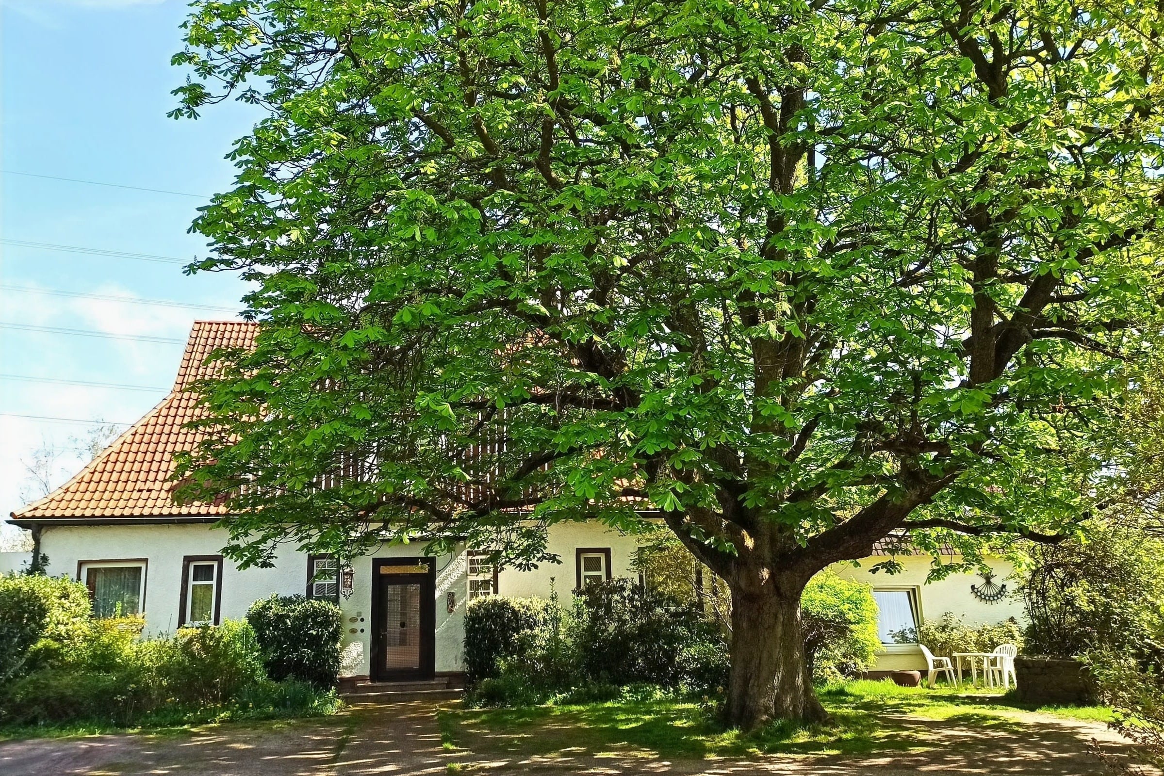 Einfamilienhaus zum Kauf 900.000 € 13 Zimmer 336 m²<br/>Wohnfläche 4.650 m²<br/>Grundstück Stockstadt 63811