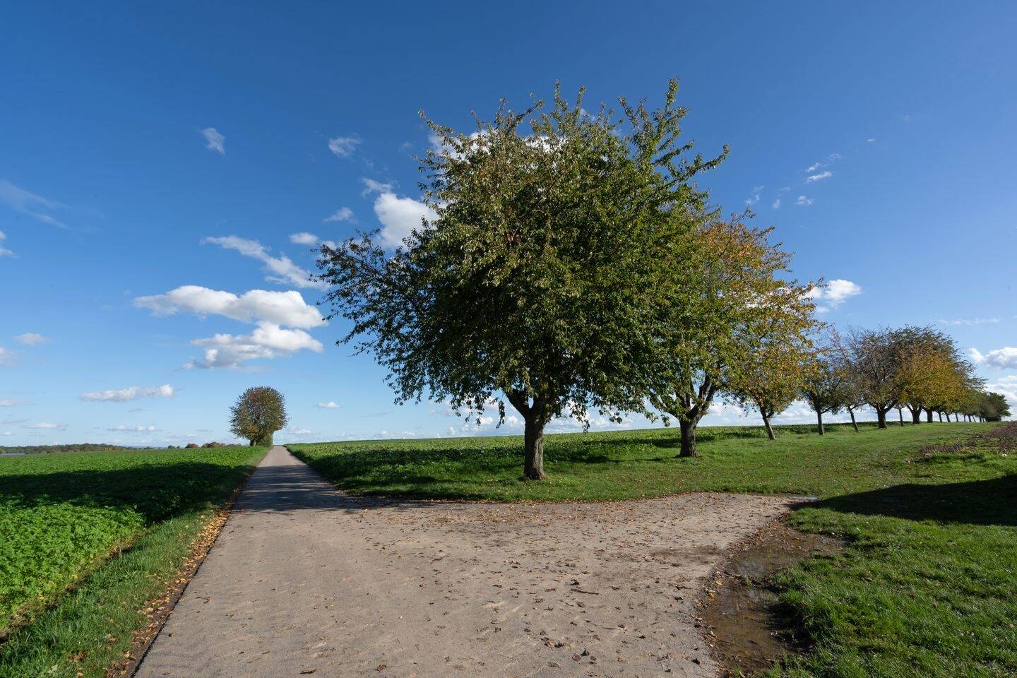 Immobilie in Oberriexingen - Schöne Wohnung fürs Alter - mit Platz für eine Pflegekraft in Oberriexingen - Bild 1