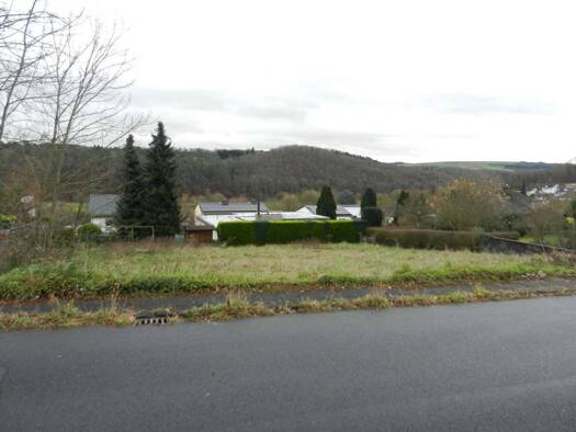 Grundstück zum Kauf 160.000 € 1.024 m² Grundstück frei ab sofort Hahnstätten 65623