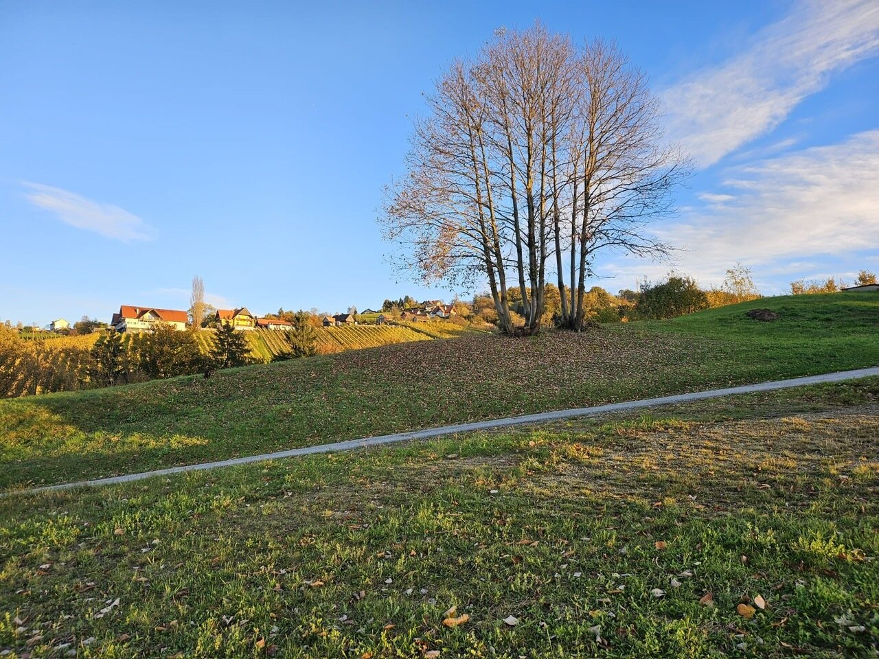 Landwirtschaftliche Fläche zum Kauf 350.000 € 50.000 m²<br/>Fläche 50.000 m²<br/>Grundstück Leibnitz Leibnitz 8430