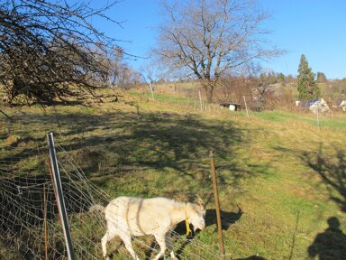 Freizeitgrundstück zum Kauf 26.298 € 974 m² Grundstück Im Bußbachtal Rohracker Stuttgart 70327