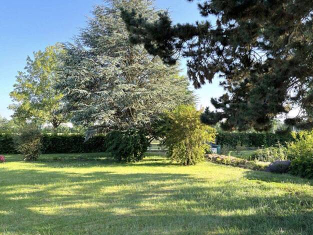 Bungalow zum Kauf provisionsfrei 390.500 € 5 Zimmer 104 m² 962 m² Grundstück Dillingen 89407