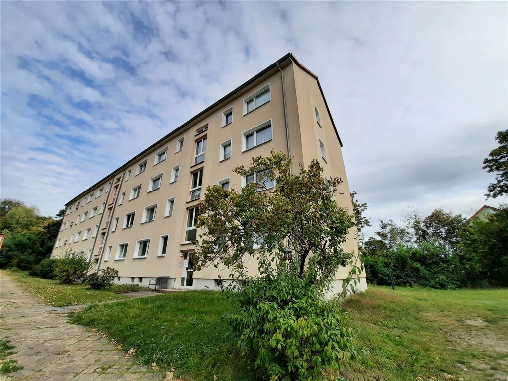 Wohnung zur Miete 335 € 3 Zimmer 55,3 m²<br/>Wohnfläche Erdgeschoss<br/>Geschoss M.-A.-Nexö-Straße 12 Lauchhammer - Mitte Lauchhammer 01979