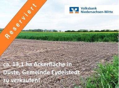 Land-/Forstwirtschaft zum Kauf 131.285 m² Grundstück Eydelstedt / Düste 49406