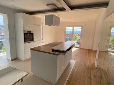 Wohnung zur Miete 1.720 € 3,5 Zimmer 104 m² 1. Geschoss frei ab 01.06.2025 Sulzgries Esslingen 73733