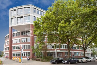 Büro-/Praxisfläche zur Miete 491,3 m² Bürofläche Braunsfeld Köln 50933