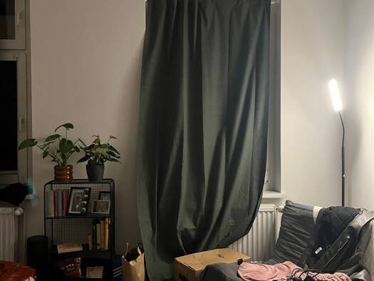 Wohnung zur Miete 550 € 1 Zimmer 20 m² frei ab sofort Köpenick Berlin 12557