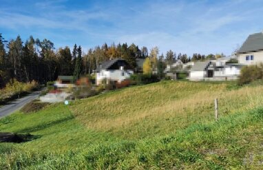 Grundstück zum Kauf 80.000 € 1.568 m² Grundstück Schlößchen Amtsberg 09439