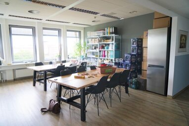 Büro-/Praxisfläche zur Miete Provisionsfrei 520 m² Bürofläche Altona - Altstadt Hamburg 22765