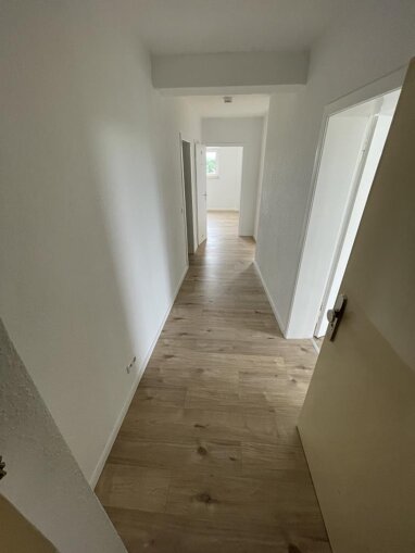 Wohnung zur Miete 369 € 2,5 Zimmer 53 m² 8. Geschoss Eppmannsweg 23 Hassel Gelsenkirchen 45896