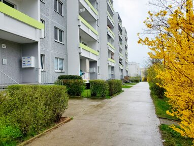 Wohnung zur Miete 334,47 € 2 Zimmer 50,6 m² 2. Geschoss Weißenfelser Straße 31 Silberhöhe Halle (Saale) 06132