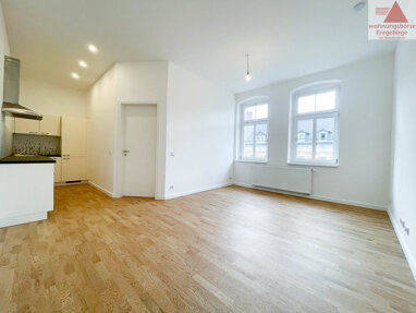 Wohnung zur Miete 398 € 2 Zimmer 49,7 m² 3. Geschoss Aue-Bad Schlema 08280