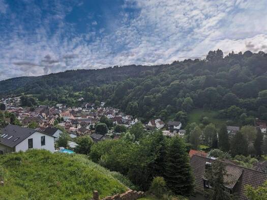 Grundstück zum Kauf 65.000 € 519 m² Grundstück Schönau 69250