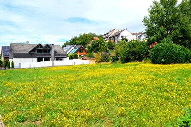 Grundstück zum Kauf 300.000 € 1.200 m² Grundstück Drove Kreuzau / Drove 52372