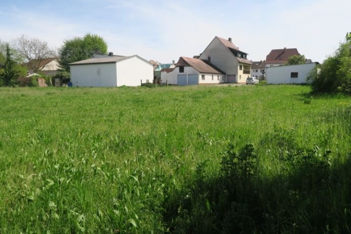 Grundstück zum Kauf 1.800.000 € 4.000 m²<br/>Grundstück Siegelsdorf Veitsbronn 90587