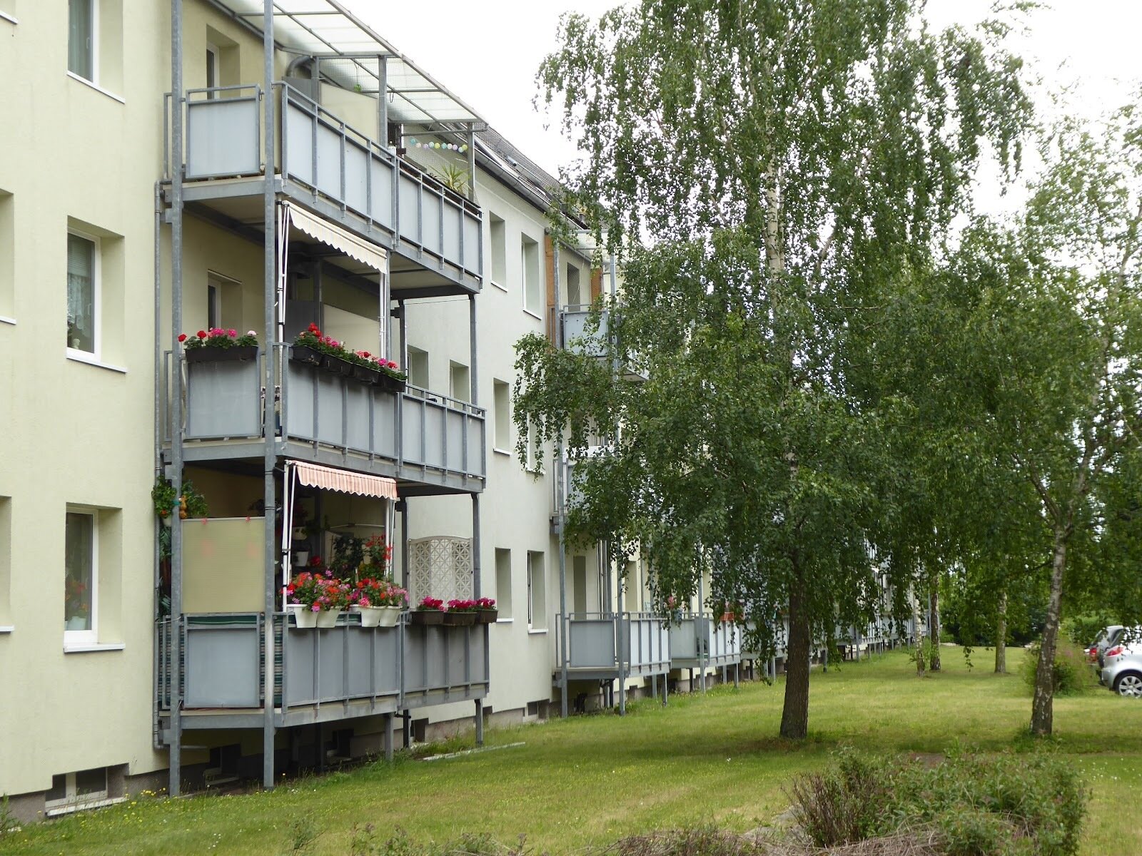 Wohnung zur Miete 438 € 3 Zimmer 72,9 m²<br/>Wohnfläche Erdgeschoss<br/>Geschoss Triftweg 14 West Dessau-Roßlau 06847