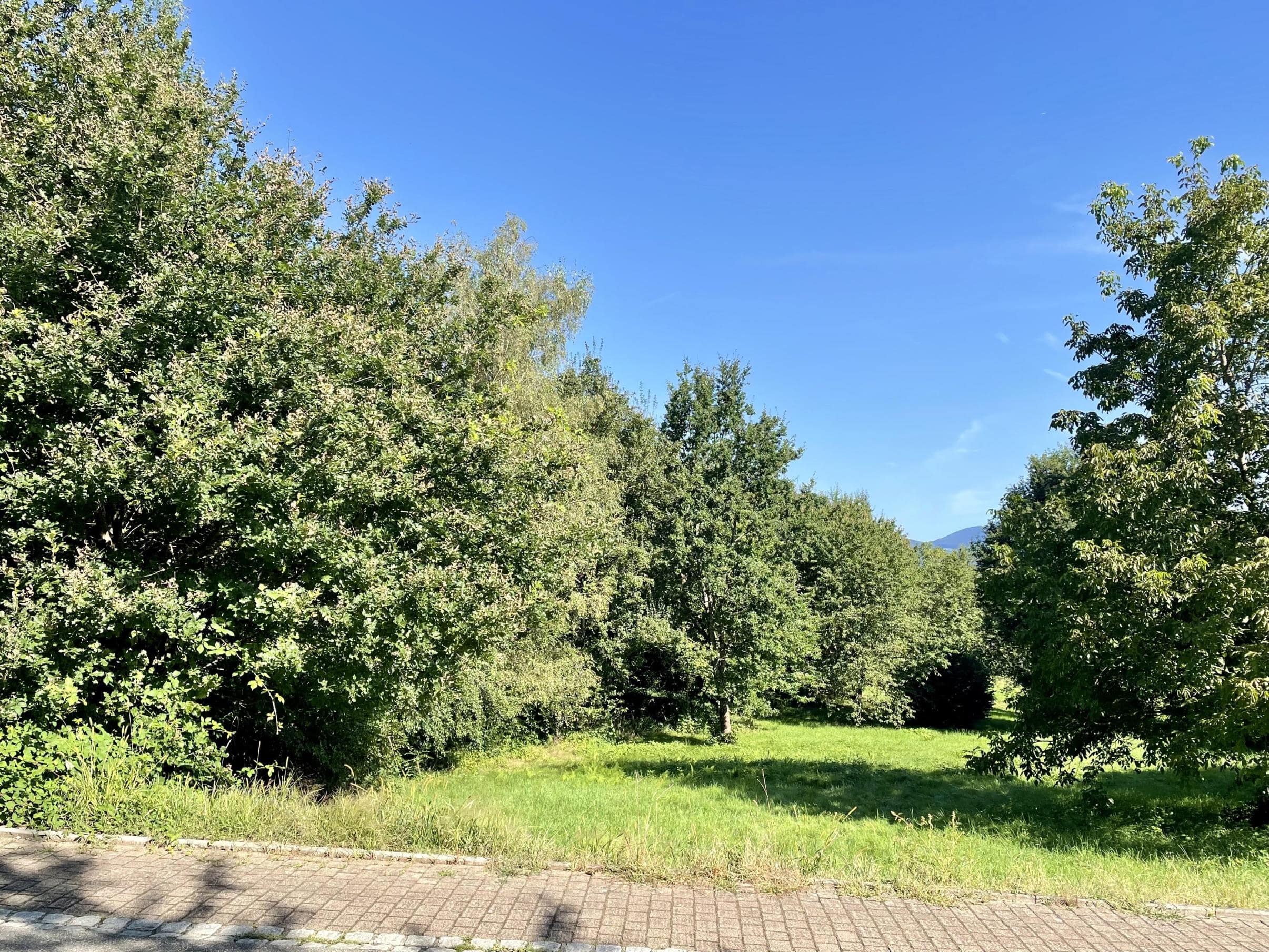 Grundstück zum Kauf 550.000 € 1.088 m²<br/>Grundstück Schopfheim Schopfheim 79650