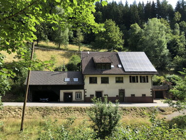 Mehrfamilienhaus zum Kauf provisionsfrei 528.000 € 9 Zimmer 260 m² 17.301 m² Grundstück Schapbach Bad Rippoldsau-Schapbach 77776