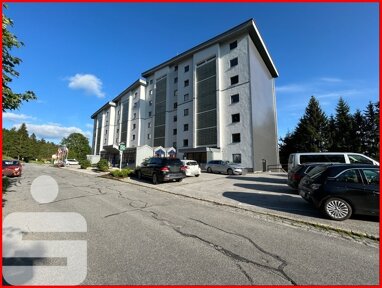 Wohnung zum Kauf 42.000 € 1 Zimmer 38 m² 5. Geschoss frei ab sofort Duschlberg Neureichenau 94089
