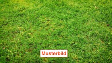 Grundstück zum Kauf 275.000 € 415 m² Grundstück Würmersheim Durmersheim 76448