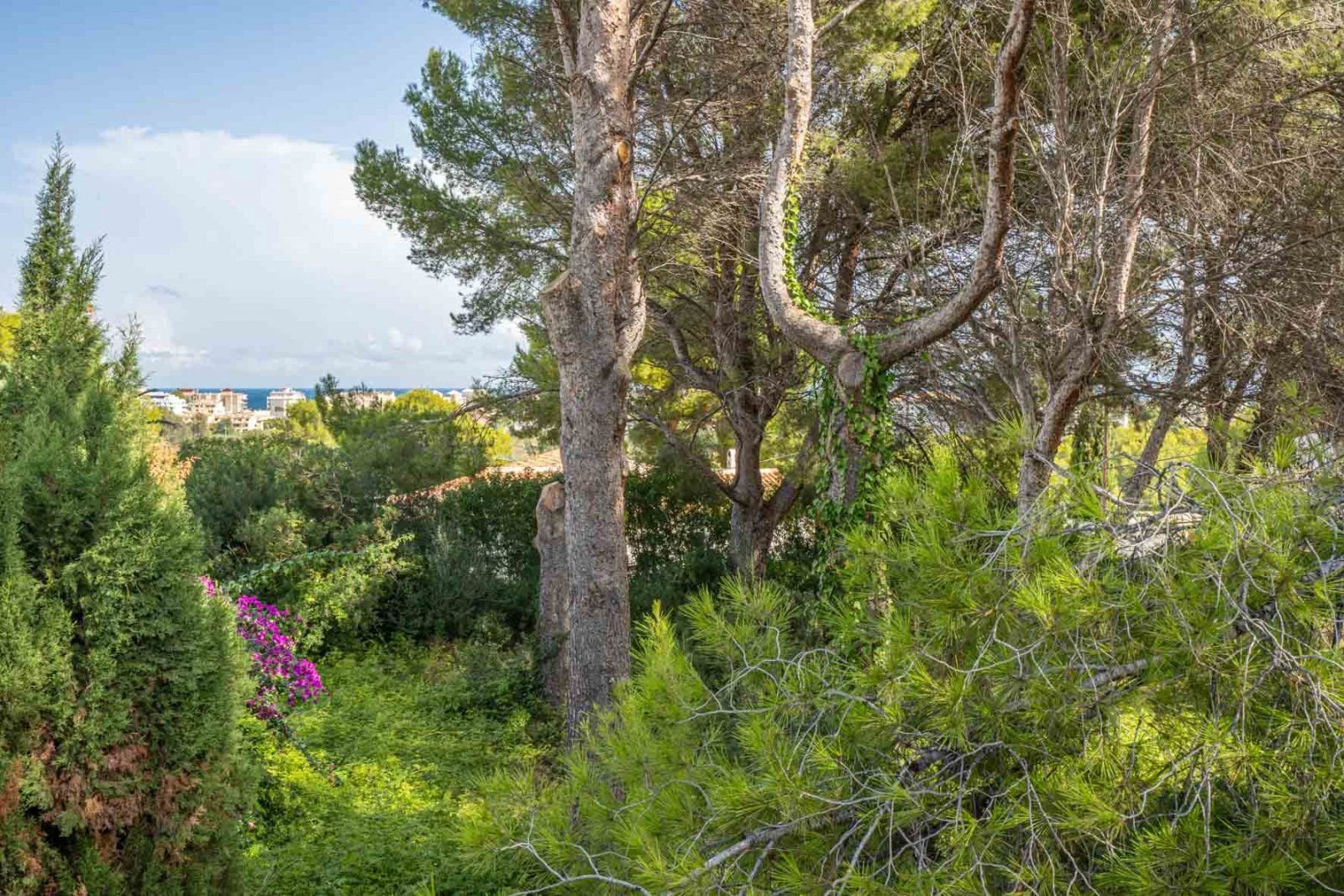 Grundstück zum Kauf 320.000 € 1.000 m²<br/>Grundstück Javea