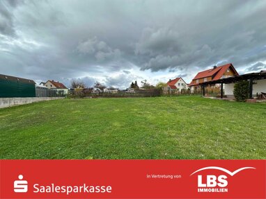Grundstück zum Kauf 55.000 € 1.100 m² Grundstück Langeneichstädt Langeneichstädt 06268