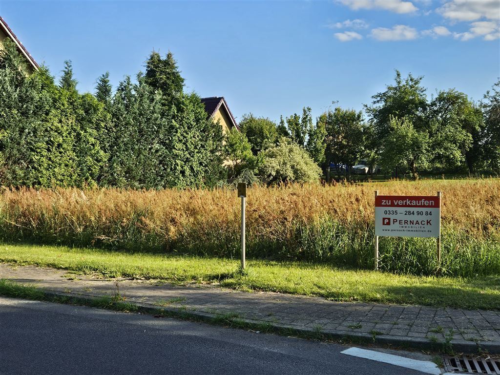 Grundstück zum Kauf 80.000 € 1.020 m²<br/>Grundstück Behrensdorf Behrensdorf 15848